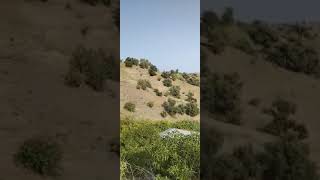 منطقة بني احمد