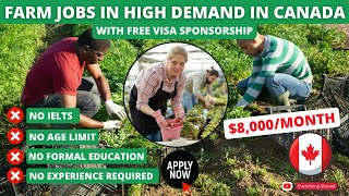 Farm Jobs In Canada With Free Visa Sponsorship In 2023 | No Education, No Experience Required