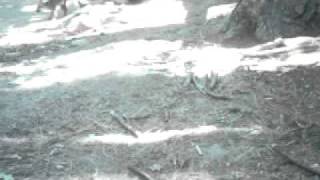PICT0118