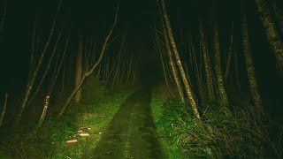 conspiracy theories that no one will ever know the answer to..