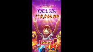 wild ape will make you a champion, as it gave me so many scatter screenshot 3