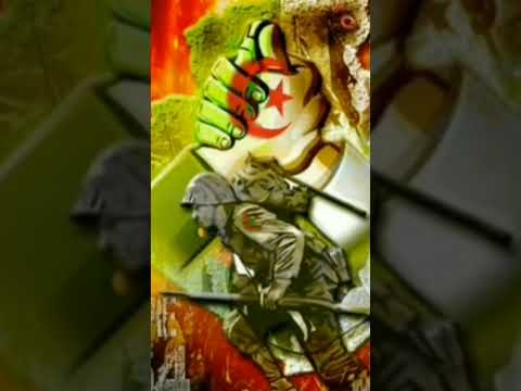 اجمل اعلام الجزائر تحيا لي شعب الجزائر