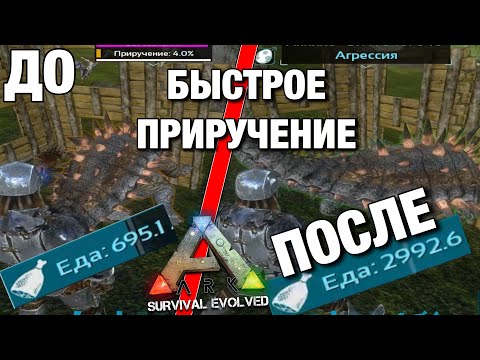 ГАЙД ПО ARK MOBILE!!! КАК УСКОРИТЬ ПРОЦЕС ПРИРУЧЕНИЯ В АРК!! ГАЙД В СОЛО РЕЖИМЕ БЫСТРОЕ ПРИРУЧЕНИЕ !
