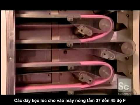 Video: Kẹo Cao Su Xuất Hiện Như Thế Nào