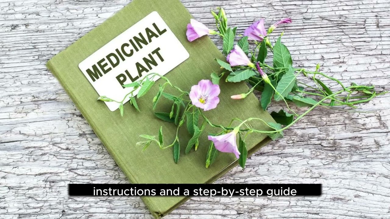 3.37 Medicinal Garden Kit – BRAND NEW! Deliverable #digitalhealthhaven #digitalmarketing #digistore