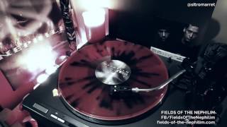 Fields Of The Nephilim - Subsanity 12&quot; ➤ Vinyl Play