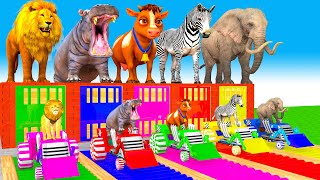 5 Giant Duck, Monkey, Lion, hippo, cow, elephent, zebra, Sheep, Transfiguration funny animal 2023