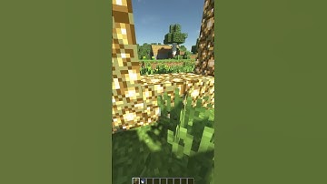 How To Build a Minecraft Aether Portal #shorts