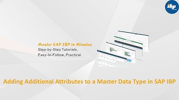 Adding Additional Attributes to a Master Data Type in SAP IBP