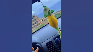 تعرفيني حربي 