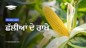 PB | Class 8 | Punjabi | Chapter 20 | Chalian De Rakhe (PSEB)