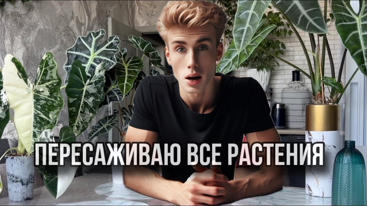 ПАРЕНЬ ПЕРЕСАЖИВАЕТ ВСЕ СВОИ РАСТЕНИЯ!😋 КУЧА ЦВЕТОВ, ШИКАРНЫЕ КАШПО, КЛУБНИ АЛОКАЗИЙ И ГНИЛЫЕ КОРНИ