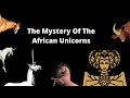 The Mystery Of The African Unicorns