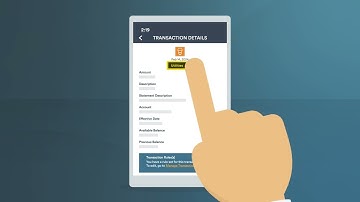 Video Tutorial: New Transaction Description & Category Updates in Online & Mobile Banking