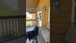 Tour This Pet Friendly Cabin near Great Smoky Mountains National Park | Sun Outdoors Pigeon Forge
Enjoy gorgeous scenery with warm Southern hospitality for a great family vacation at one of the best resorts in the Pigeon Forge area. The Grand Cabin rental is the perfect home base for visiting Pigeon Forge, Gatlinburg, and Great Smoky Mountains National Park! Book your stay https://sunout.io/ujiDO
📍Sevierville, Tennessee
Sun Outdoors | tiny home rental | glamping | fall travel | cabin rental | cottage core | cottage rental | smoky mountains cottage | campground | RV resort | vacation rental Tour This Pet Friendly Cabin near Great Smoky Mountains National Park | Sun Outdoors Pigeon Forge