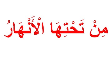القران الكريم بمنهج جلين دومان - سورة البينة الجزء 4