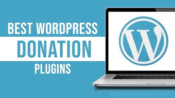 Best Wordpress Donation Plugins (2024)