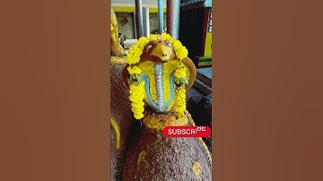 1 Cr Shivlingas in one location - Shri Kotilingeshwara, Kolar, Karnataka #kotilingeshwaratemple