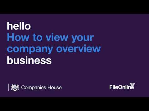 How to view your company overview