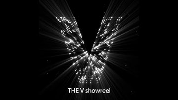 THE V TRANSLOOK® Showreel