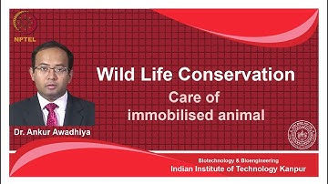 noc18-bt26 Lec 22-Care of immobilised animal