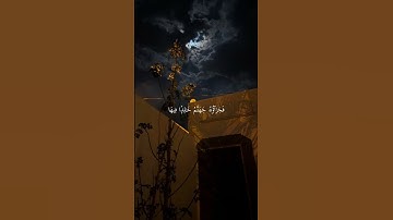 تلاوة جميلة للشيخ ماهر المعيقلي #قران_كريم #اكتب_شي_تؤجر_عليه #سورة_النساء #القارئ #ماهر_المعيقلي