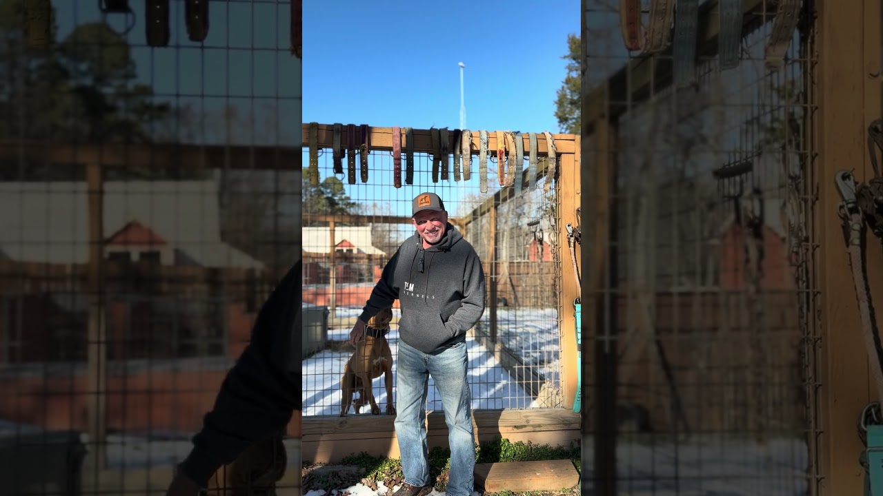 PSA 2026 Website UPDATE IS LIVE! 🐶