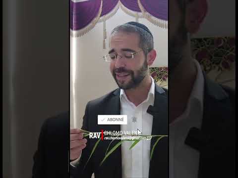 🎙️ La Segoula / Secret De la Arava ( branche de saule ) 🔥🥳 Fêtes de Souccot ✡️ Rav Chlomo Valensi
