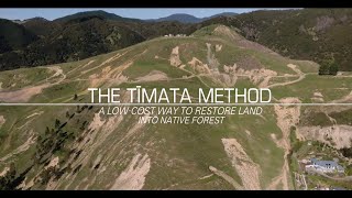 Restoring land into native forest  The Tīmata Method