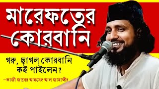 মারেফতের কোরবানী | গরু, ছাগল, উট, দুম্বার কোরবানি কই পাইলেন? কাজী জাবের আহমেদ @sufiattoprokash