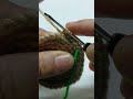 work in Backloop 🧶🧵 #crochet #beginnersstitch #diycrafts #puffstitch#tipsandtricks