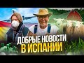 Испания переводит часы и отменяет все ковидные ограничения - Добрые новости