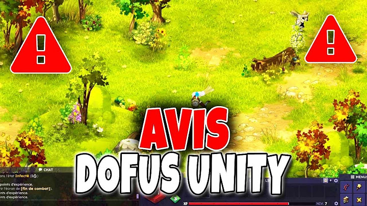1er Avis sur Dofus Unity (Catastrophe ou Réussite ?)