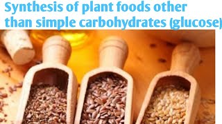 Synthesis of plant foods other than simple carbohydrates (glucose) class 7 in hindi