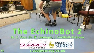 The EchinoBot 2 walking hexapod robot