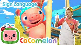 three little pirate pigs learn asl baby sign language kids