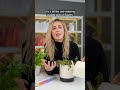 👉If You're Only Kind To Yourself... 🌷 | #shorts #youtubepartner
