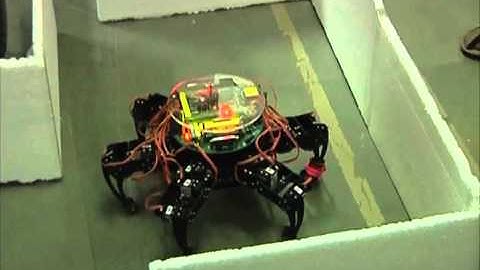 Movement Control and Obstacle Avoidance of Hexapod