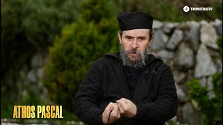Părintele Theologos, schitul Lacu din Athos: "Sunt sigur ca există Înviere" (interviul complet)