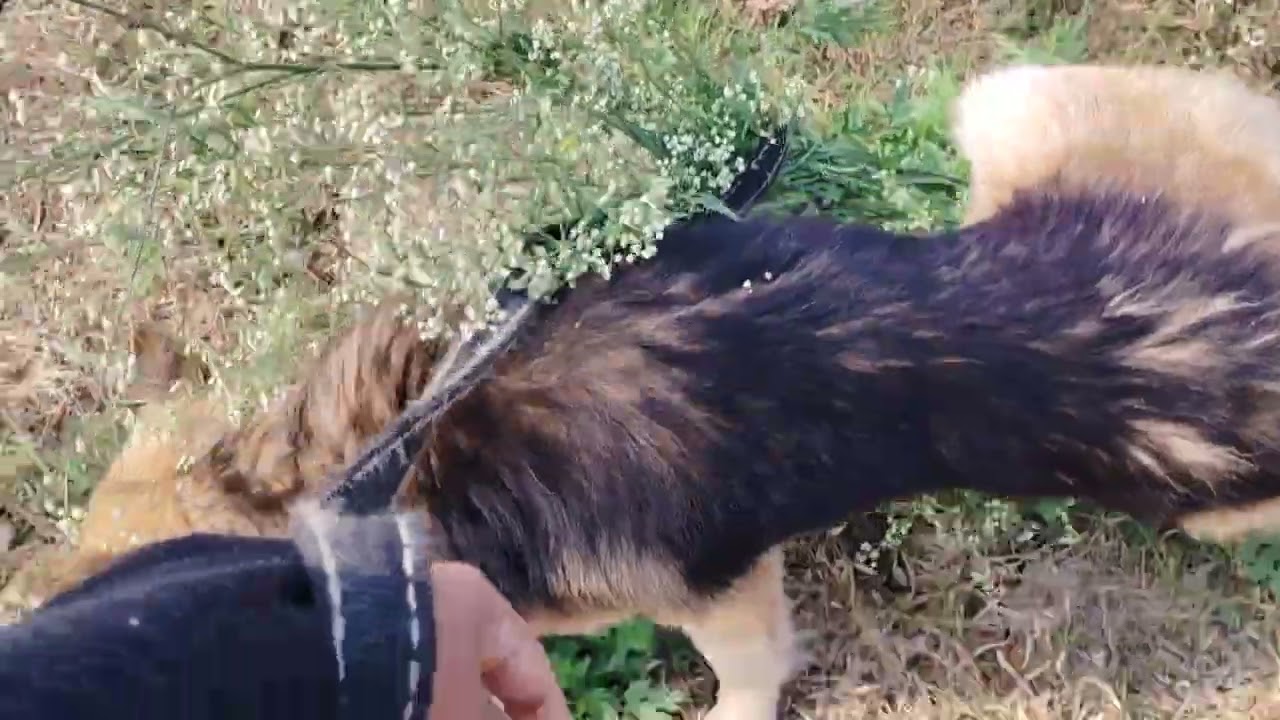 Village look so nice 👍🙂🙂🙂🙂🙂