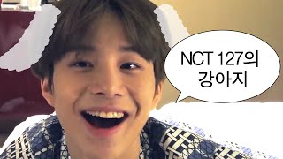 [NCT 127/정우] 우리 집 강아지 귀여워