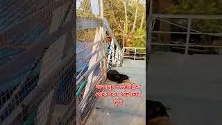 A view of the railway station from the Jadavpur Overbridge.#shorrts
