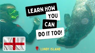 Swimming with Seals | Lundy Island