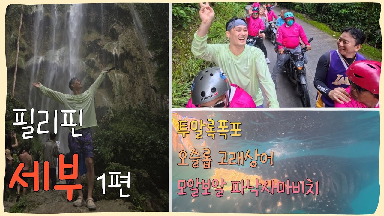 가족여행! 세부1편(오슬롭,투말록,모알보알) #프리다이빙 #여행 #오슬롭 #모알보알 #투말록 #고래상어