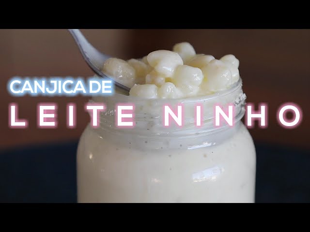 CANJICA DE LEITE NINHO DUPLA GOURMET