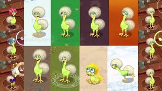 Every Dandidoo At Once