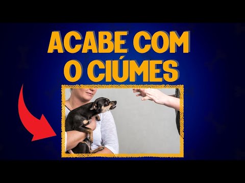 Vídeo: Pergunte a um treinador - cachorro ciumento