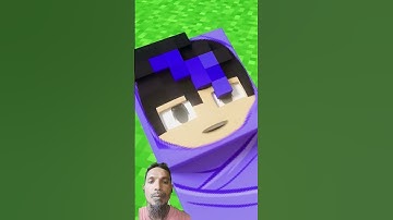 Thumbnail of Aphmau's NEW BABY! #animated #shorts
