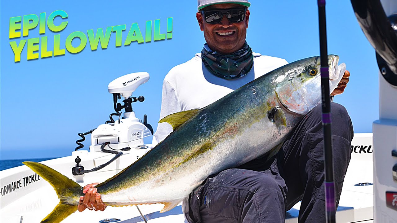 Big Calico Bass with a chance at Yellowtail !!  |  CATALINA ISLAND Fishing