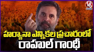 Haryana Elections : LOP Rahul Gandhi Elections Campaign In Sonipat  | V6 News